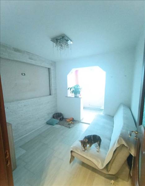 Vanzare apartament 4 camere decomandat Noua, Brasov